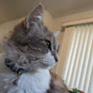 Meet your Posher, Anastasia